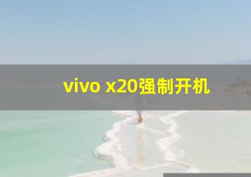 vivo x20强制开机